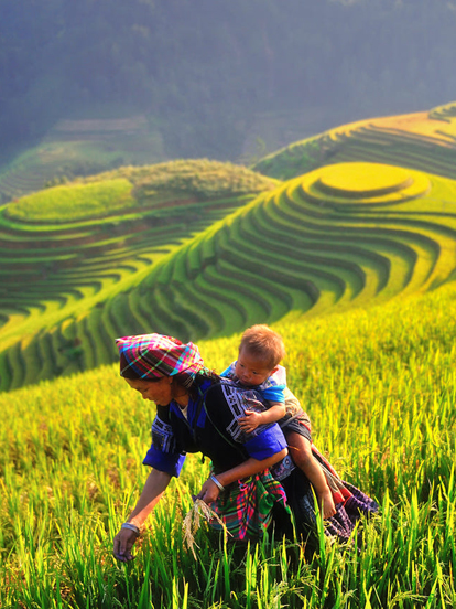 Mu-Cang-Chai