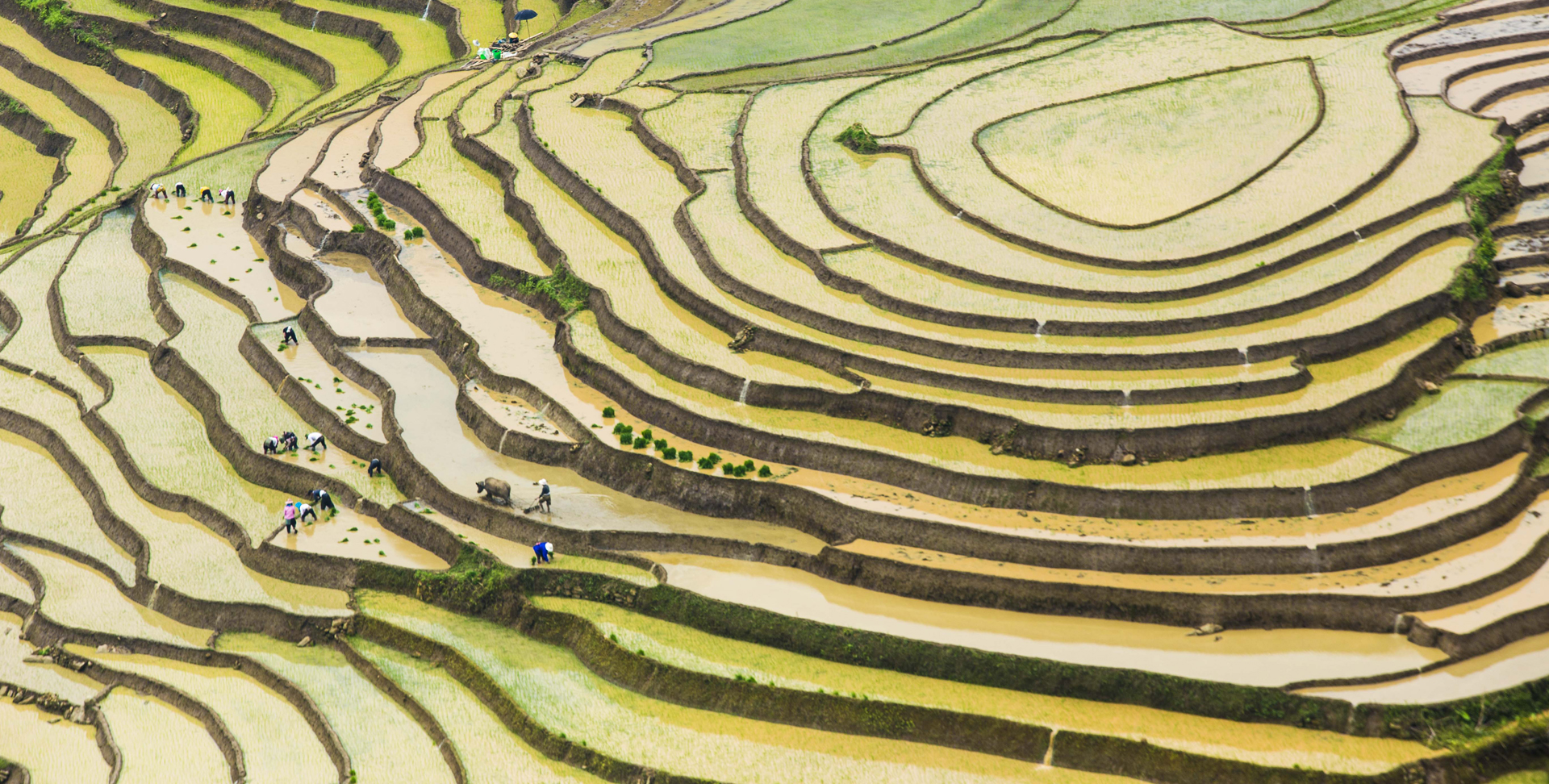 Sapa Vietnam